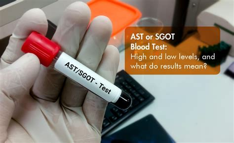 AST Blood Results: Meaning of High or Low AST (SGOT) Levels.